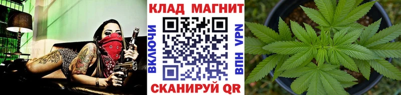 Хочу наркоту Уяр Кокаин  МЕФ  Псилоцибиновые грибы  Канабис  Гашиш 
