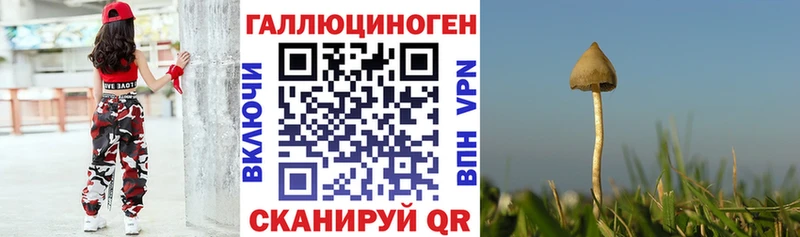 Псилоцибиновые грибы Cubensis  Уяр 
